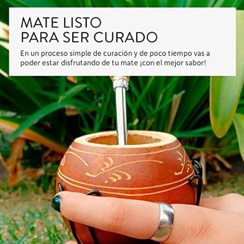 Mate de Calabaza con Posamate - Qumir